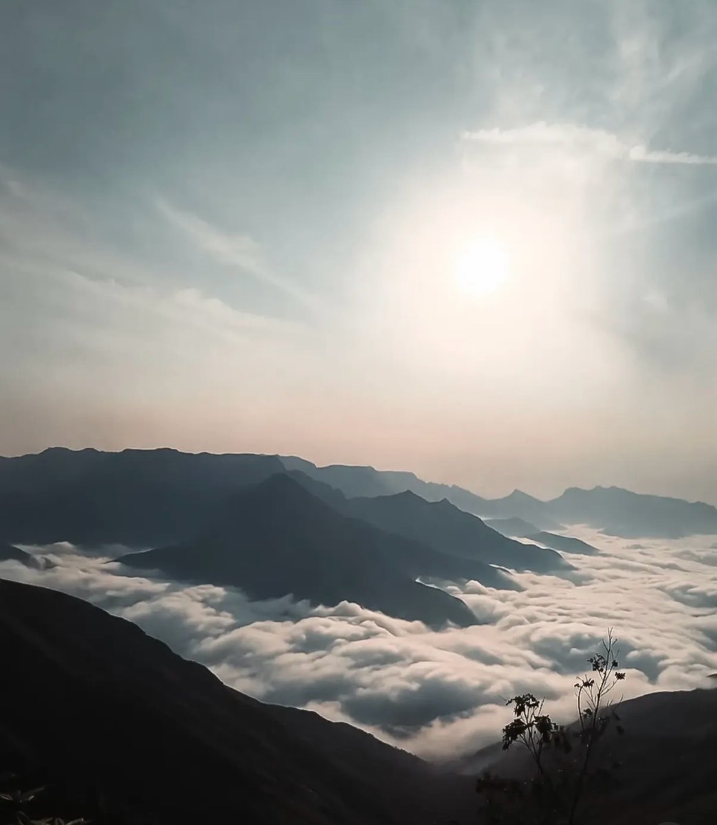 Tea estates and ridgelines rolling down to the valley near Munnar
