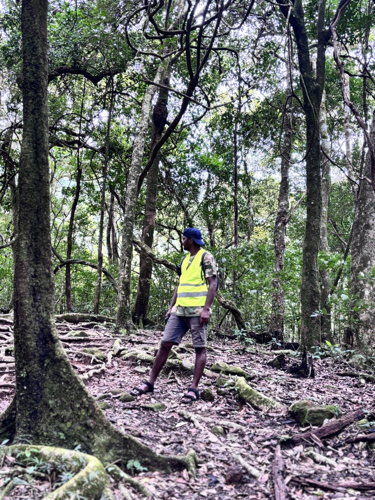 A local trek guide on the trail