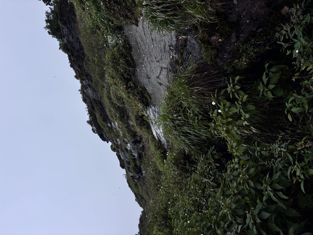 Rocky summit ridge of Kumara Parvatha
