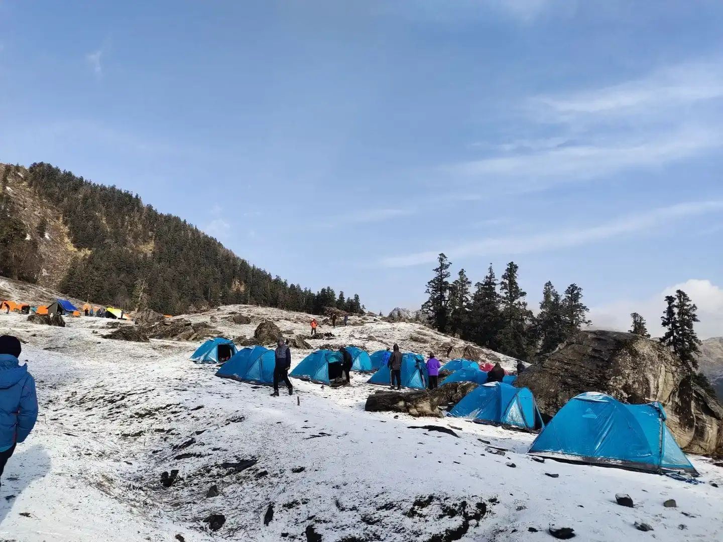 Blue tents at a forest camp in the snow