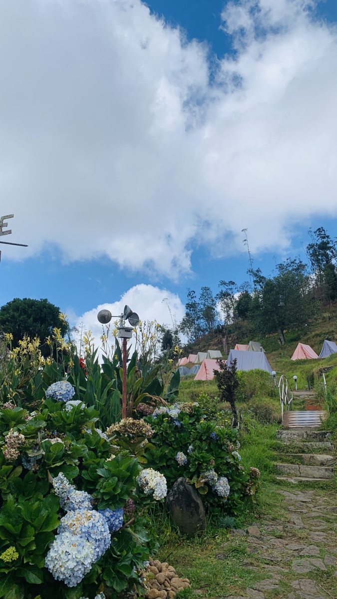 Tents pitched beside flowering shrubs at the Meeshapulimala base camp