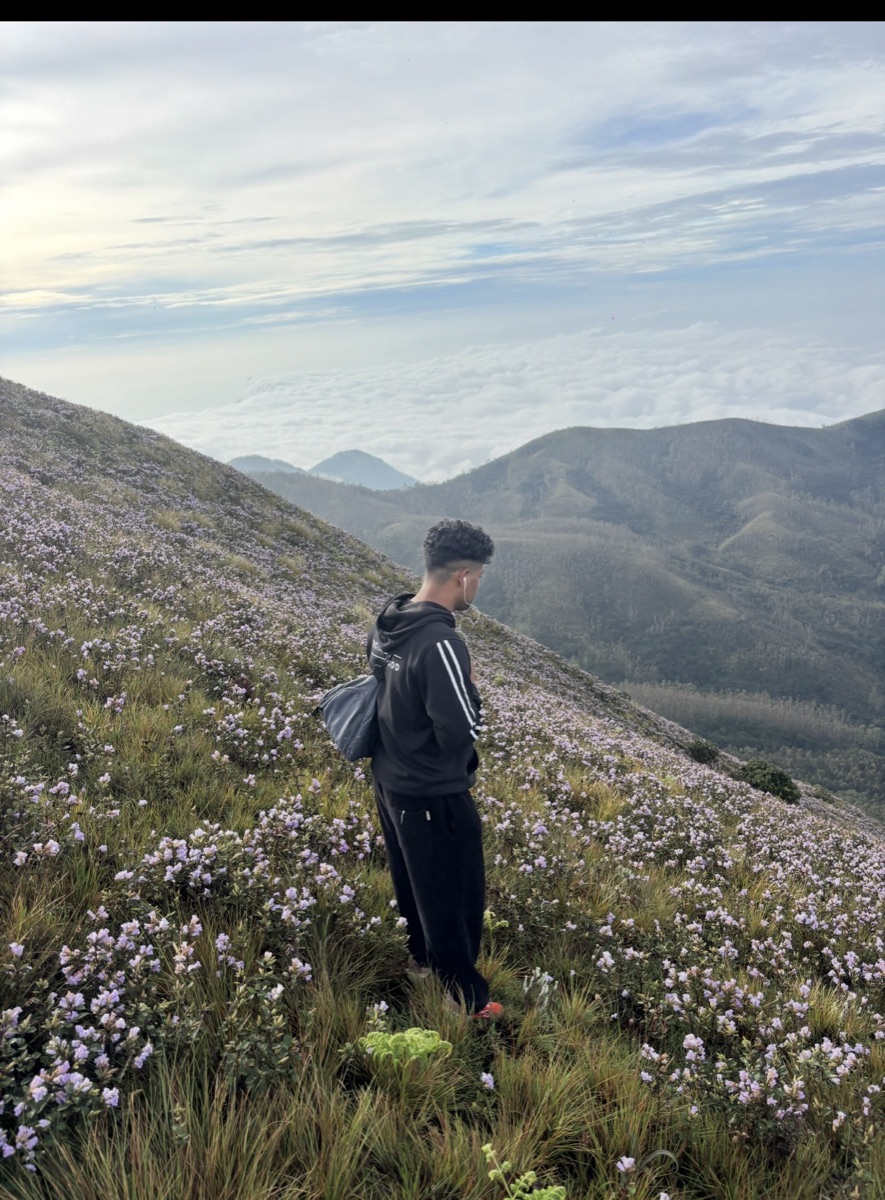 A trekker standing amid Neelakurinji flowers with mountains behind