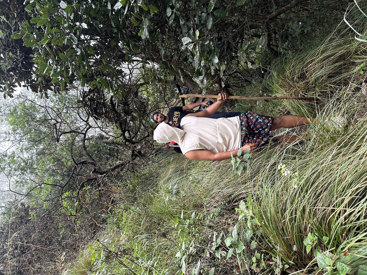 A trekker on the forest trail at Meeshapulimala